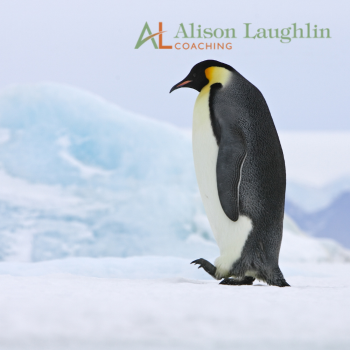 Change happens at variable speeds – like a penguin